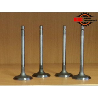 FAW (ФАВ) 1041 (V=3.17L) Клапан впускной