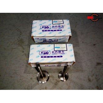 Foton 1046 Фотон (V=2.54L) Клапан выпускной