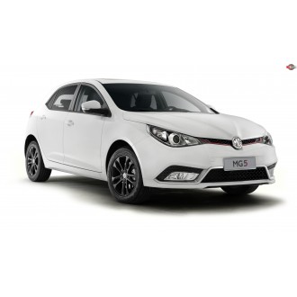 MG 5 Дверь передняя правая 10090314