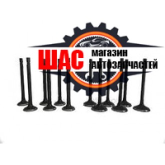 Zhongxing Admiral (Адмирал) Клапана выпуск (комплект)