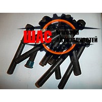 Dong-Feng DF30 (Донг Фен) 1044/Богдан (V=3.76L) Болт ГБЦ (средний )