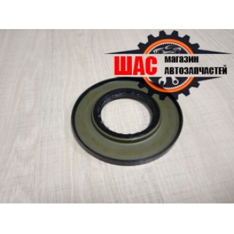 JAC N 56 (V=3.8L) Сальник задней ступицы наружный 4204930020