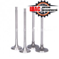 BAW (БАВ) 1065/1044 Клапана впускные комп.