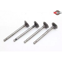 BAW (БАВ) 1065/1044 Клапана выпускные комп.