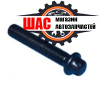 Chery Tiggo 3 (Чери Тиго 3) Болт шатуна E4G16-1004115