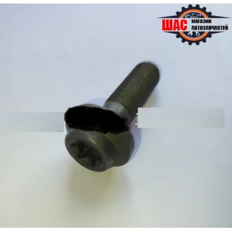 MG 550 Болт шестерни распредвала (Атмо) 91000018