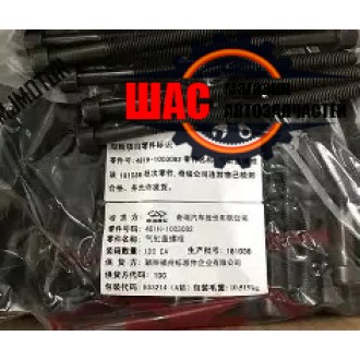 Chery Tiggo 8 (Чери Тиго 8) Болты ГБЦ (комплект 10 шт) 481H-1003082