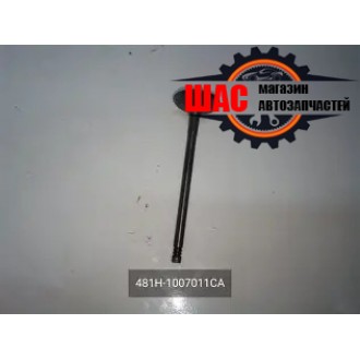 Chery Tiggo 8 (Чери Тиго 8) Клапан впускной 2.0 481H-1007011CA