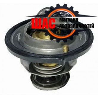 JAC T8 (Джак Т8) Термостат 1041050FD020