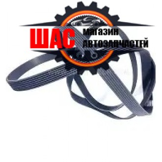 JAC T6 (Джак Т6) Ремень приводной 1025018FD040